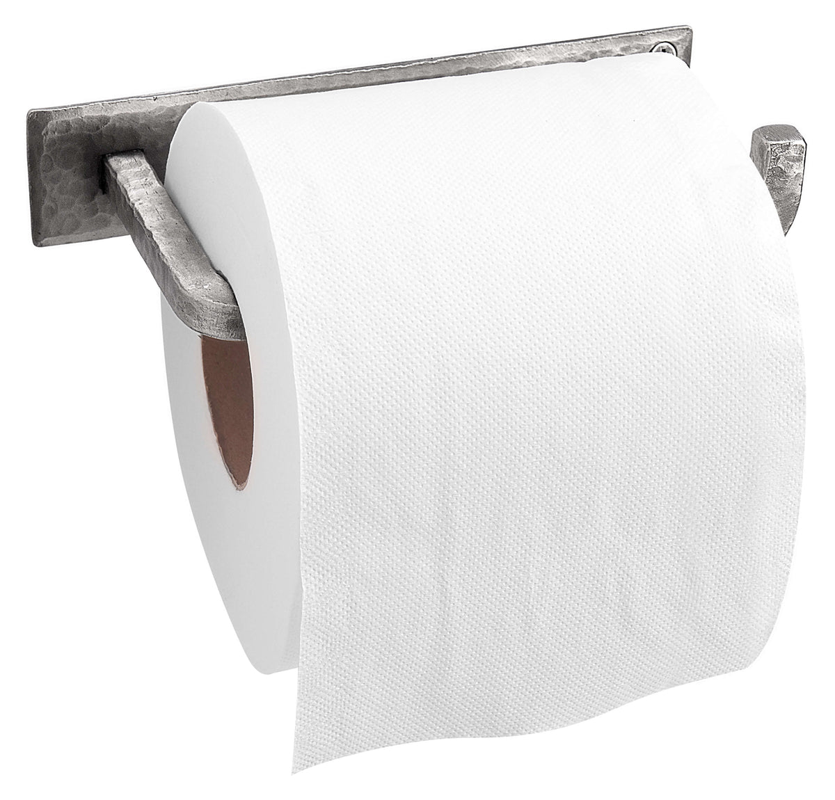 Wall Mounted Iron Toilet Paper Holder - Silver