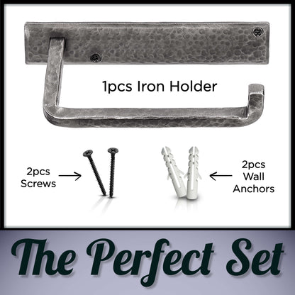 Wall Mounted Iron Toilet Paper Holder - Silver