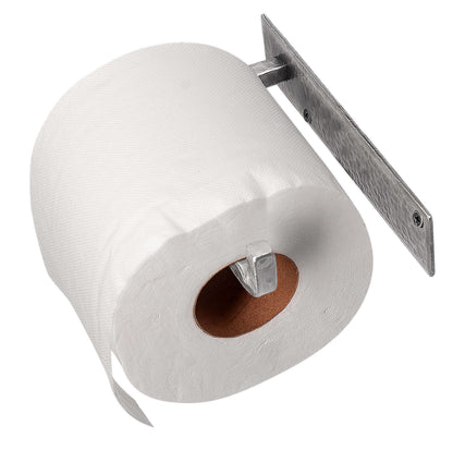 Wall Mounted Iron Toilet Paper Holder - Silver